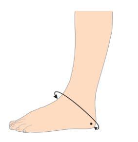 Foot Measurement