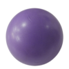 Procare Stability Ball